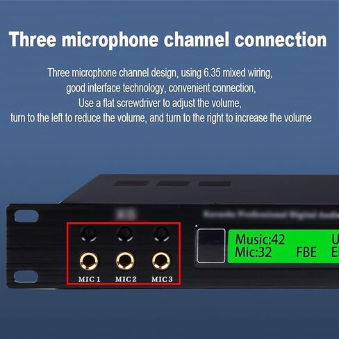 Professional Digital Audio Processor, Karaoke Audio Processor, DSP Digital Reverberation, Anti-Howling, Support 5.1 Channel Output, 3 Microphone Channel, for Speaker, Home Theater in Kuwait