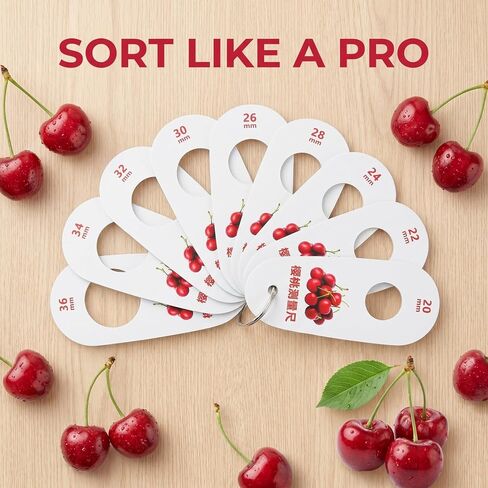 Kisangel 2pcs Berry Sizing Tool, Berry Grading Dimension Gauge, Portable Sizing Checker for Blueberry and Small Cherry Fruits, 9- Hole in Kuwait