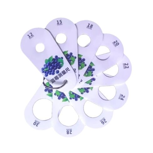Fruit Caliper Measurement Tool Measurer Set multifunction fresh fruit grading standard blueberry measuring device ruler professional PP material, Blueberries in Saudi Arabia