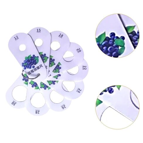 Fruit Caliper Measurement Tool Measurer Set multifunction fresh fruit grading standard blueberry measuring device ruler professional PP material, Blueberries in Saudi Arabia