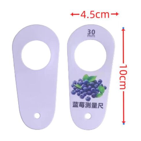 Fruit Caliper Measurement Tool Measurer Set multifunction fresh fruit grading standard blueberry measuring device ruler professional PP material, Blueberries in Saudi Arabia