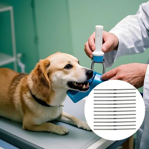 شرائط تلميع الأسنان (12 قطعة)، فلتر من جانب واحد، بطول 5.9 بوصة in Kuwait