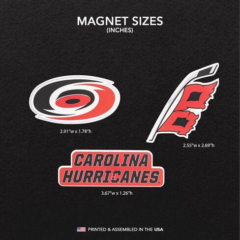 مغناطيس أكريليك صبار الصحراء Carolina Hurricanes، 3 قطع، تصميم زخرفي لدوري الهوكي الوطني NHL مرخص رسميًا (مجموعة مغناطيس أكريليك A) in Kuwait