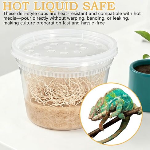 Deli Cups with Fabric Vented Lids, Culture Cup Mesh Container, 16 OZ, 10 Pack in Kuwait