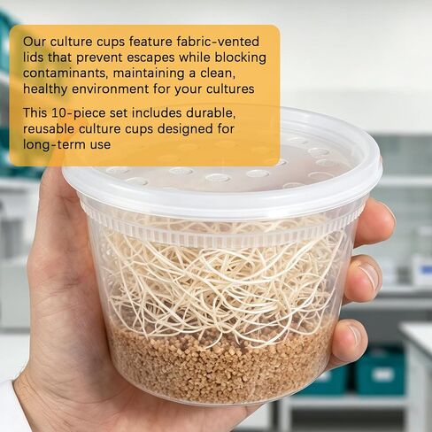 Deli Cups with Fabric Vented Lids, Culture Cup Mesh Container, 16 OZ, 10 Pack in Kuwait