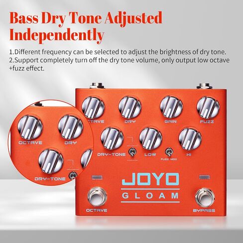 دواسات جيتار JOYO Bass أوكتاف تأثير الزغب (GLOAM R-29) حزمة مع JOYO DC 9V 500mA جيتار دواسة موائم مصدر تيار in Kuwait