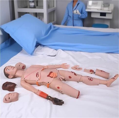 نموذج الإسعافات الأولية المتقدم للعناية بالصدمات / يحاكي إصابات أجزاء الجسم المتعددة، والحروق، والكسور المفتوحة، والجروح الناتجة عن ثقب الجسم الغريب، وبتر الأطراف، وما إلى ذلك. in Kuwait