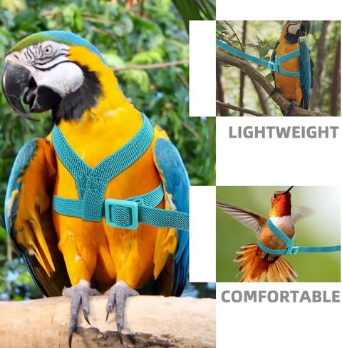Housoutil Adjustable Parrot Harness Leash with Ultralight Elastic Rope for Pet Birds, Wear-Resistant Blue Bird Leash Suitable for Interacting with Your Pet or Outdoor Use in Public Park in Kuwait