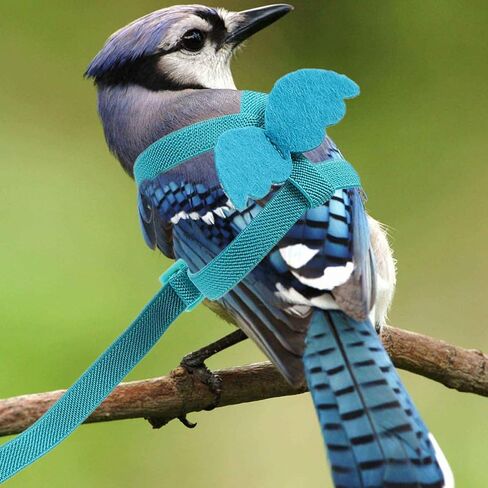 Housoutil Adjustable Parrot Harness Leash with Ultralight Elastic Rope for Pet Birds, Wear-Resistant Blue Bird Leash Suitable for Interacting with Your Pet or Outdoor Use in Public Park in Kuwait