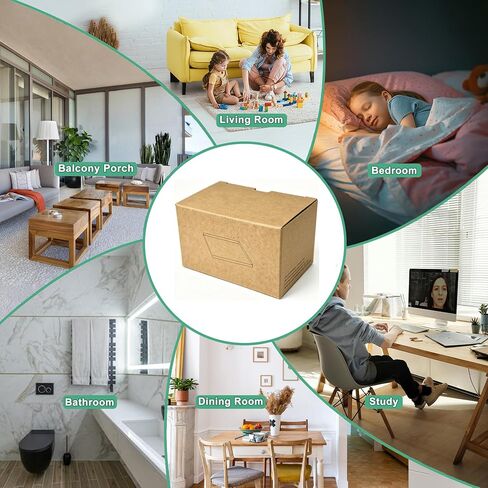 1 Box 20 Pcs for Model Q5 D5 D6 in Kuwait