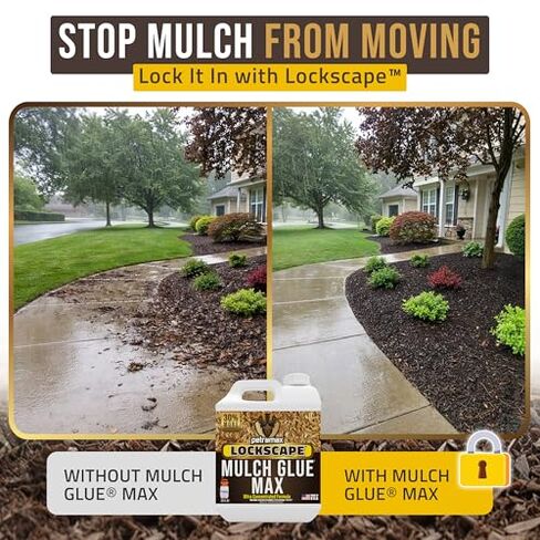 مجموعة PetraMax Lockscape Mulch Glue للمناظر الطبيعية - 32 أونصة (4 عبوات) غراء Mulch + بخاخ مضخة Petratools HD101 سعة 1 جالون، مثبت المهاد للنباح وقش الصنوبر ورقائق الخشب وأسرة الحديقة in Kuwait