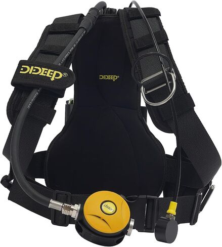 3L طقم خزان الغوص 3000PSI معدات خزان الغوص | 30-40 دقيقة للتنفس تحت الماء محمول، محول تضخم إلى 8 مم، للنسخ الاحتياطي للاستجمام تحت الماء in Kuwait