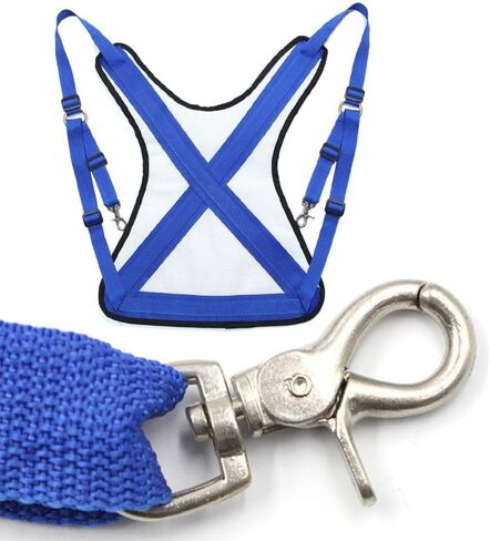 Fishing Vest with Adjustable Back Harness and Breathable PVC Mesh for Sea and Boat Fishing Equipment in Kuwait