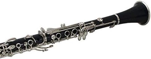 THE WILMINGTON CLARINET (903) Professional in Saudi Arabia
