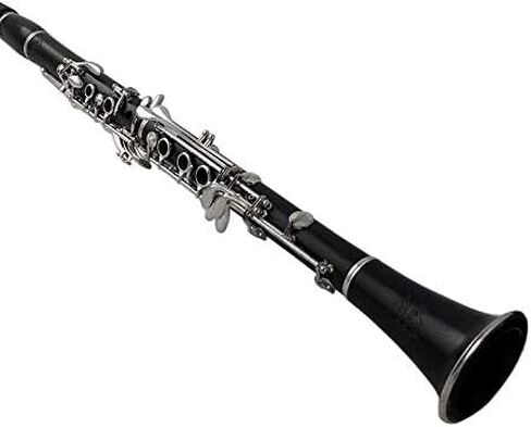 THE WILMINGTON CLARINET (903) Professional in Saudi Arabia