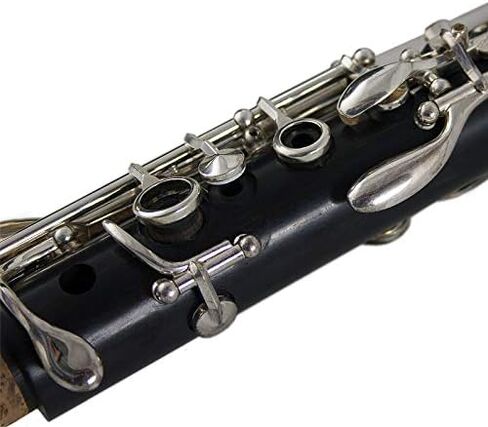 THE WILMINGTON CLARINET (903) Professional in Saudi Arabia