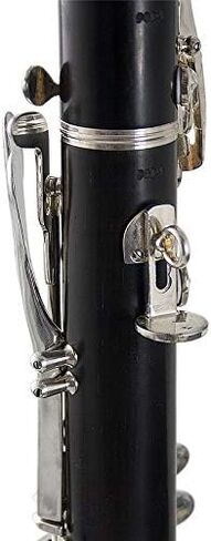 THE WILMINGTON CLARINET (903) Professional in Saudi Arabia