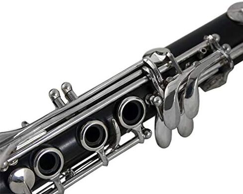 THE WILMINGTON CLARINET (903) Professional in Saudi Arabia