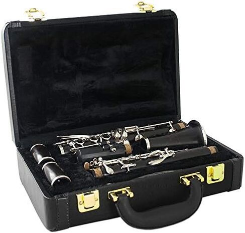 THE WILMINGTON CLARINET (903) Professional in Saudi Arabia
