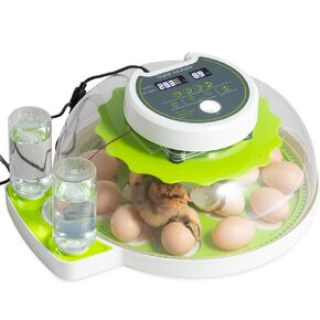 18 Eggs Professional Egg Incubator - Automatic Turning, Precise Temperature & Humidity Control, Egg Candling, 360 - Degree View, Ideal for Farms and Laboratories in Kuwait