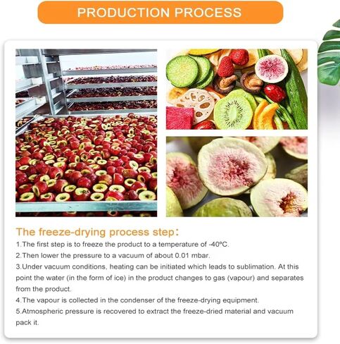 مجفف تجميد فراغ الغذاء، مجفف تجميد صناعي، سعة كبيرة، مناسبة لإنتاج الغذاء. in Kuwait