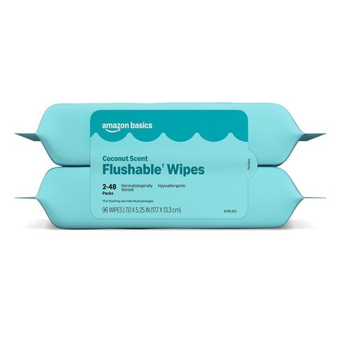 Amazon Basics Flushable Wipes, Coconut Scent, Hypoallergenic, Dermatologically Tested, 2 Packs of 48 (96 Count) in Saudi Arabia