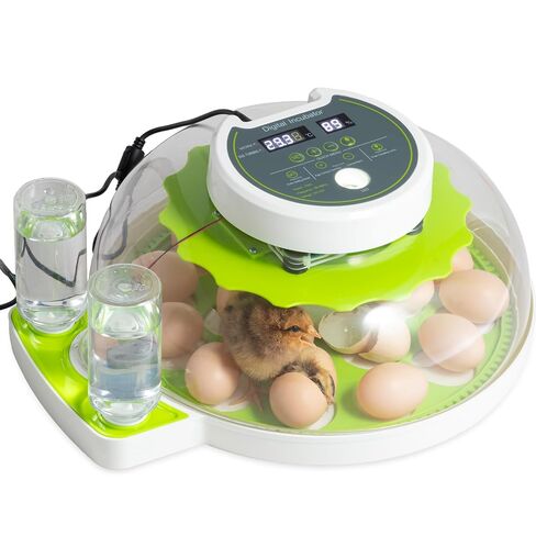 18 Eggs Professional Egg Incubator - Automatic Turning, Precise Temperature & Humidity Control, Egg Candling, 360 - Degree View, Ideal for Farms and Laboratories in Kuwait