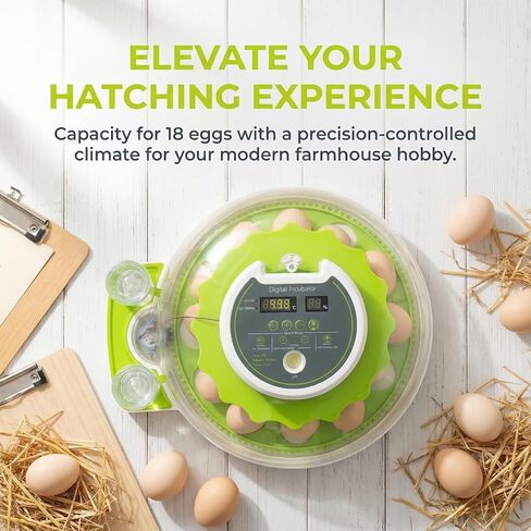 18 Eggs Professional Egg Incubator - Automatic Turning, Precise Temperature & Humidity Control, Egg Candling, 360 - Degree View, Ideal for Farms and Laboratories in Kuwait