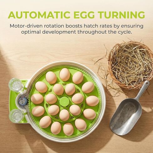 18 Eggs Professional Egg Incubator - Automatic Turning, Precise Temperature & Humidity Control, Egg Candling, 360 - Degree View, Ideal for Farms and Laboratories in Kuwait