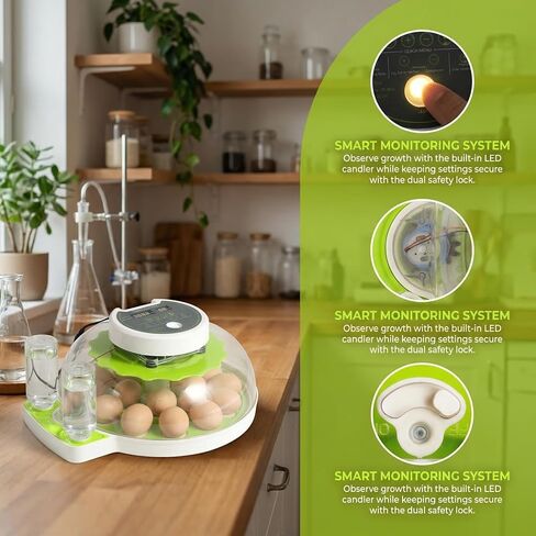 18 Eggs Professional Egg Incubator - Automatic Turning, Precise Temperature & Humidity Control, Egg Candling, 360 - Degree View, Ideal for Farms and Laboratories in Kuwait