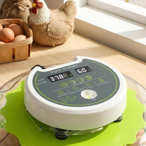 18 Eggs Professional Egg Incubator - Automatic Turning, Precise Temperature & Humidity Control, Egg Candling, 360 - Degree View, Ideal for Farms and Laboratories in Kuwait