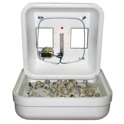 1602N Thermal Air Hova-Bator Only in Kuwait