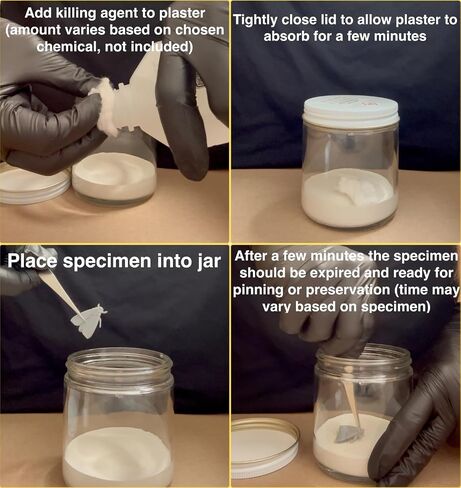 Entomology Specimen Collection Jar – Traditional Killing Jar Design (No Chemicals Included) – for Insect Field Collection, Scientific Study & Educational Use in Kuwait