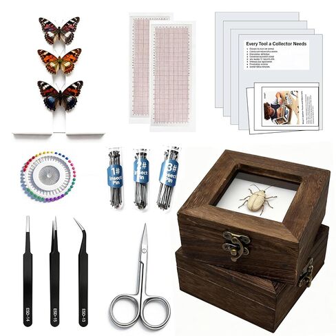 Insect Pinning Kits - Includes 2 Wooden Insect Display Cases, 5 EVA Foam Spreading Boards, Coordinate Paper, Wings Pressing Paper, Insect Pins - Complete Bug Pinning Kit for Beginners in Kuwait