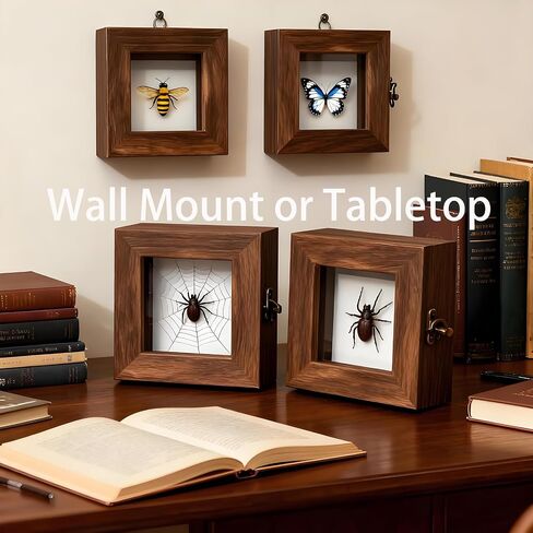 Insect Pinning Kits - Includes 2 Wooden Insect Display Cases, 5 EVA Foam Spreading Boards, Coordinate Paper, Wings Pressing Paper, Insect Pins - Complete Bug Pinning Kit for Beginners in Kuwait