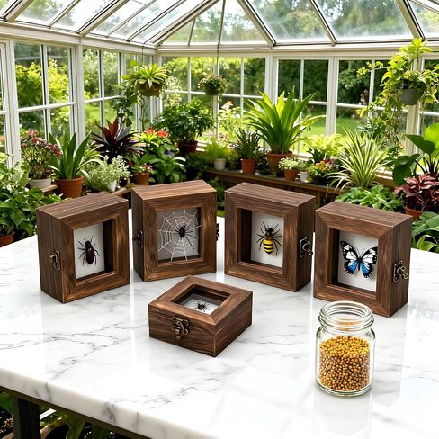 Insect Pinning Kits - Includes 2 Wooden Insect Display Cases, 5 EVA Foam Spreading Boards, Coordinate Paper, Wings Pressing Paper, Insect Pins - Complete Bug Pinning Kit for Beginners in Kuwait