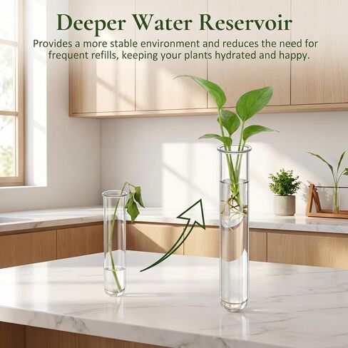 Glass Test Tubes for Plants with Reinforced Rim, 4 Piece Clear 5.9" x 1.2" Borosilicate Propagation Tubes Vase for Hydroponic Plant Starter, Cuttings and Flower Arrangement in Kuwait