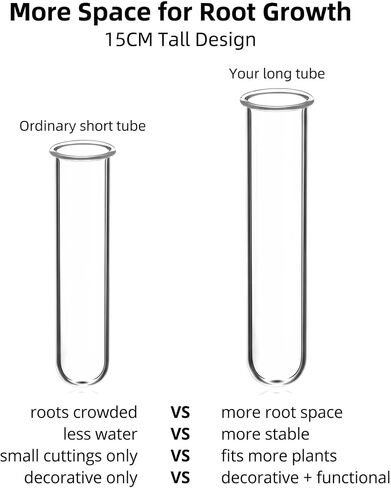 Glass Test Tubes for Plants with Reinforced Rim, 4 Piece Clear 5.9" x 1.2" Borosilicate Propagation Tubes Vase for Hydroponic Plant Starter, Cuttings and Flower Arrangement in Kuwait
