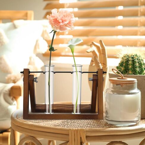 Glass Test Tubes for Plants with Reinforced Rim, 4 Piece Clear 5.9" x 1.2" Borosilicate Propagation Tubes Vase for Hydroponic Plant Starter, Cuttings and Flower Arrangement in Kuwait