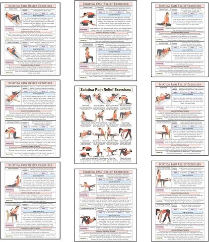 Sciatica Pain Relief Exercise Chart, Lower Back & Nerve Stretching Poster for Home Physical Therapy, Hip, Glute & Leg Mobility, for Seniors & Adults in Kuwait
