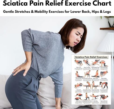 Sciatica Pain Relief Exercise Chart, Lower Back & Nerve Stretching Poster for Home Physical Therapy, Hip, Glute & Leg Mobility, for Seniors & Adults in Kuwait