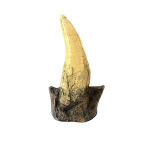 Tyrannosaurus Rex Large Tooth Replica – 6.5" Fossil Cast with Maxilla Base in Kuwait
