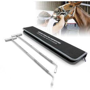 Equine Dental Gingival Elevator 2-pcs Set Stainless Steel 16.5" Long which is Designed to be Easy to use for All Veterinarians. in Kuwait