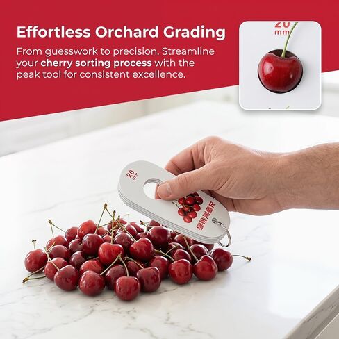 Operitacx 2pcs Blueberry Sizing Gauge, Cherry Sorting Dimension Checker, 9-Sizes Hole, Fresh Berry Grading Tool for Farms, Markets and Home Fruit Producers in Kuwait