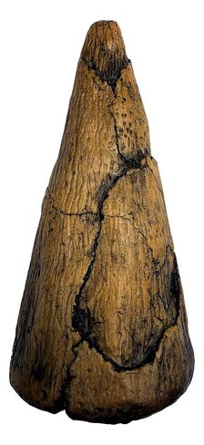 Iguanodon Thumb Spike Replica - Museum Quality Dinosaur Fossil Specimen Reproduction in Kuwait