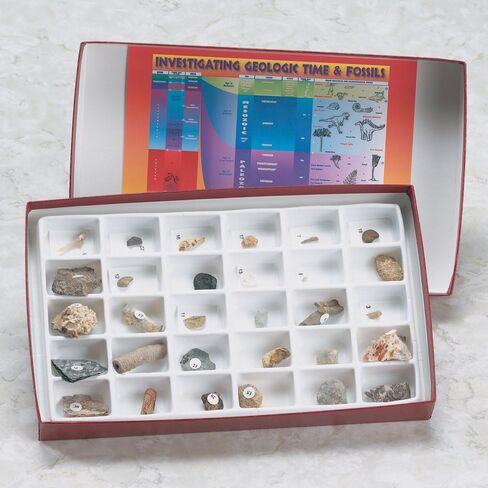 American Scientific Advanced Fossil Collection in Kuwait