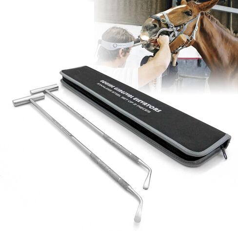 Equine Dental Gingival Elevator 2-pcs Set Stainless Steel 16.5" Long which is Designed to be Easy to use for All Veterinarians. in Kuwait