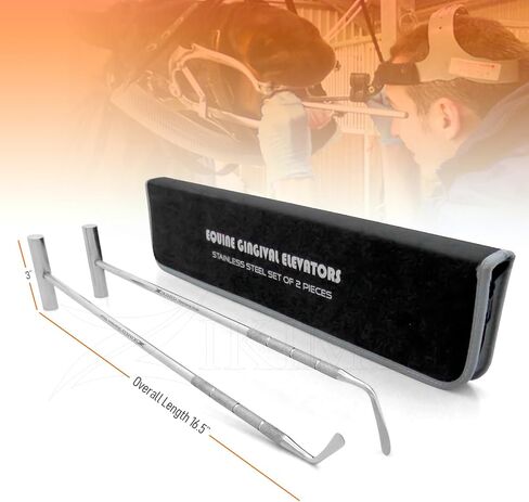 Equine Dental Gingival Elevator 2-pcs Set Stainless Steel 16.5" Long which is Designed to be Easy to use for All Veterinarians. in Kuwait