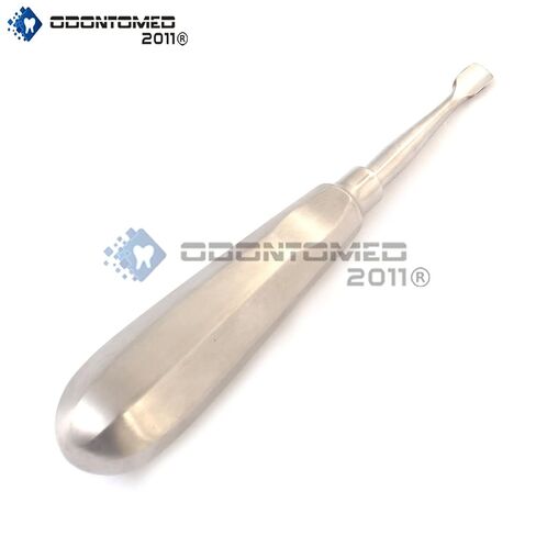 Dental Wing Winged Root Elevator TIP Size 8MM Stainless Steel in Kuwait