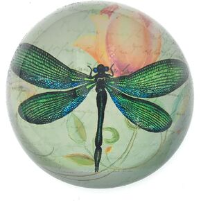 BOYIRI Value Arts Green Dragonfly Glass Dome ثقالة الورق، مع نص فرنسي، قطر 3 بوصات in Kuwait
